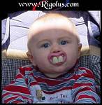 le petit fils d'un lapin